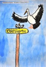 Zámečníková Anabela.jpg